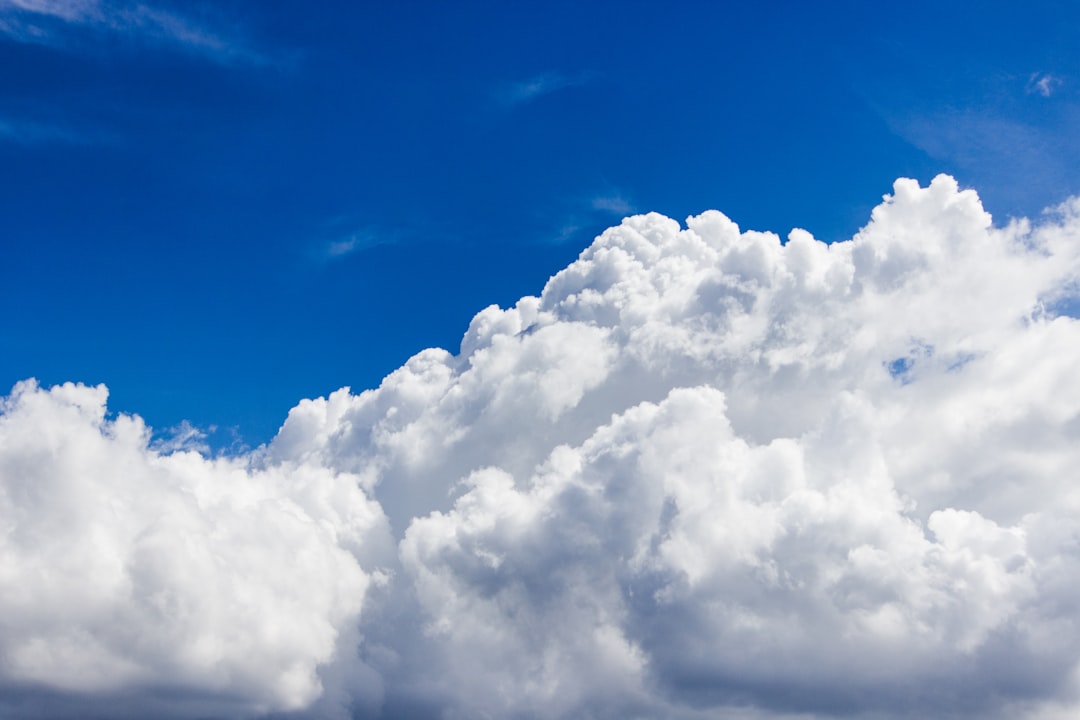Comparativa backup en la nube vs local para proteger tus datos